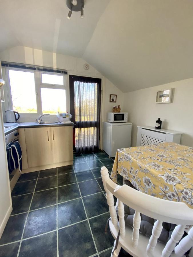 Dog Friendly Studio Flat Apartment Topsham Luaran gambar