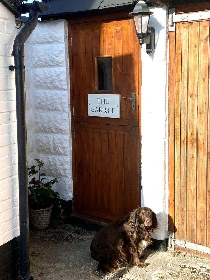 Dog Friendly Studio Flat Apartment Topsham Luaran gambar